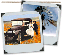 Polaroids Model T in poppies & Windmill