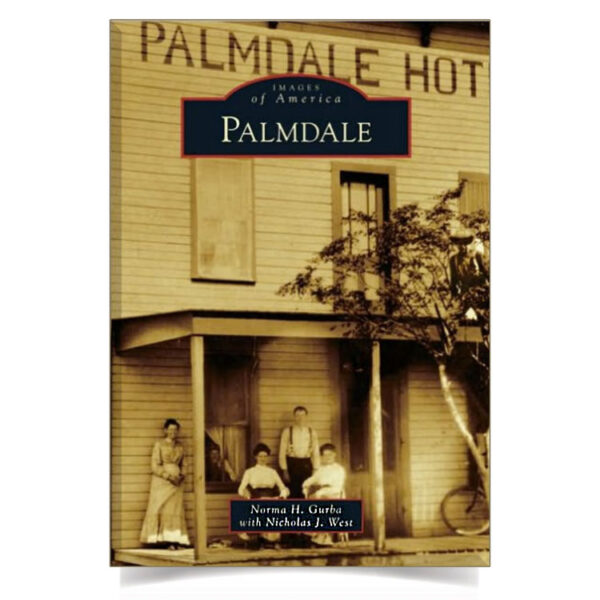 Palmdale book cover