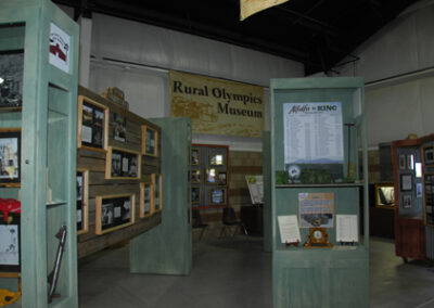 AVRM displays